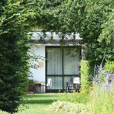 Il Patio Appartamento